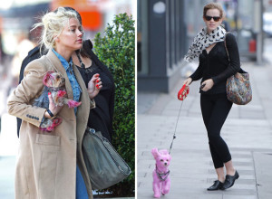 Would-You-Make-Like-Emma-Watson-and-Amber-Heard-By-Dip-Dying-Your-Dog-Pink-