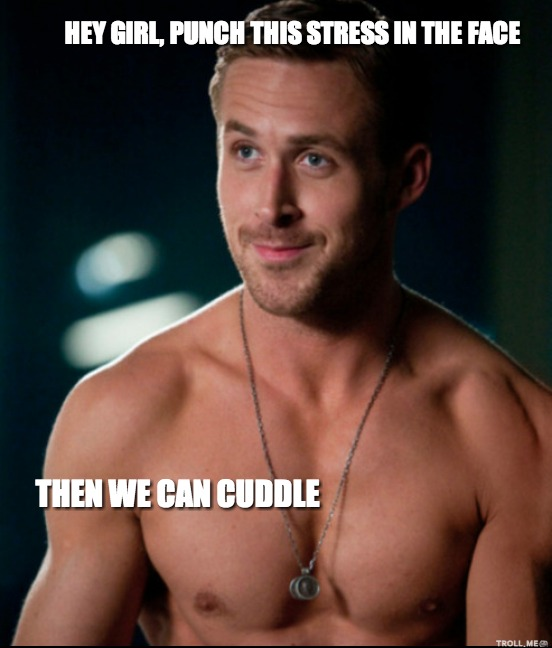 hey-girl-punch-this-stress-in-the-face-then-we-can-cuddle