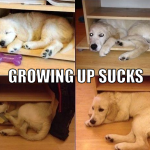 Growing Up Sucks