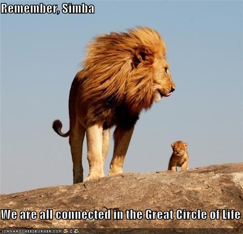 Circle of Life Lion King