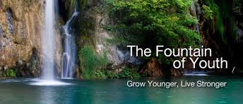 fountain of youth joy