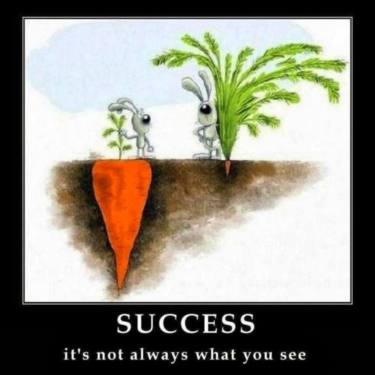Success-its-not-always-what-you-see